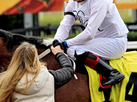 Jockey Austin Adams receives a handshake from connections of Sailor's Passion after a win in the fourth race at Woodbine Racetrack in Toront...