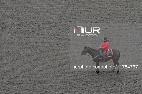 An outrider waits on the track for the start of a race at Woodbine Racetrack in Toronto, Canada, on November 16, 2024. 