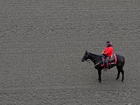 An outrider waits on the track for the start of a race at Woodbine Racetrack in Toronto, Canada, on November 16, 2024. (