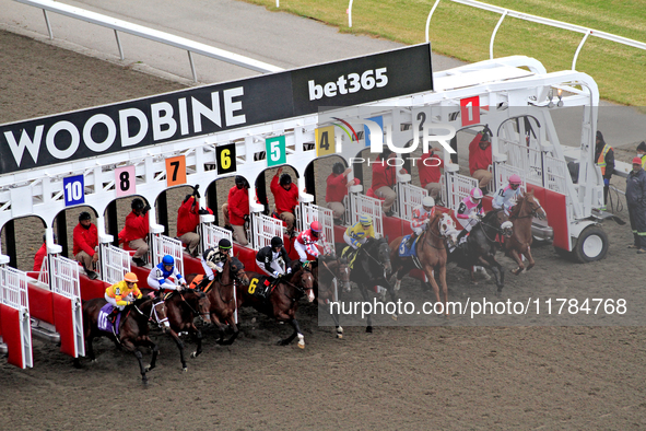 Jockeys and thoroughbreds exit the starting gate at the start of a race at Woodbine Racetrack in Toronto, Canada, on November 16, 2024. 