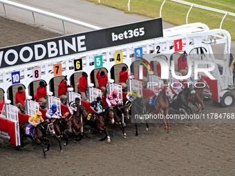 Jockeys and thoroughbreds exit the starting gate at the start of a race at Woodbine Racetrack in Toronto, Canada, on November 16, 2024. (