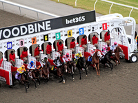 Jockeys and thoroughbreds exit the starting gate at the start of a race at Woodbine Racetrack in Toronto, Canada, on November 16, 2024. (