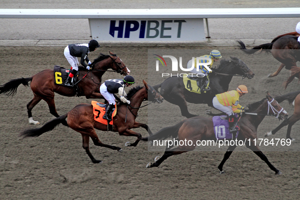 Thoroughbreds race by the grandstand at the start of a race at Woodbine Racetrack in Toronto, Canada, on November 16, 2024. 