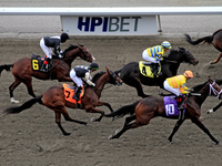 Thoroughbreds race by the grandstand at the start of a race at Woodbine Racetrack in Toronto, Canada, on November 16, 2024. (