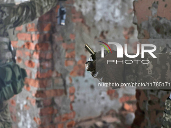 New soldiers of the 57th Otaman Kost Hordiienko Motorized Brigade practice assault skills in the Kharkiv region, Ukraine, on November 14, 20...