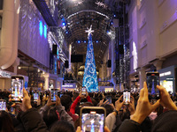 A large crowd gathers to witness the annual Christmas tree lighting ceremony at CF Toronto Eaton Centre in Ontario, Canada, on November 13,...