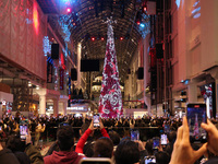 A large crowd gathers to witness the annual Christmas tree lighting ceremony at CF Toronto Eaton Centre in Ontario, Canada, on November 13,...