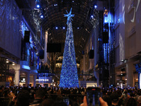 A large crowd gathers to witness the annual Christmas tree lighting ceremony at CF Toronto Eaton Centre in Ontario, Canada, on November 13,...