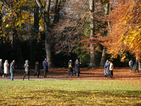 Visitors enjoy a sunny autumn day in the English Garden in Munich, Bavaria, Germany, on November 16, 2024. The vibrant golden and orange hue...