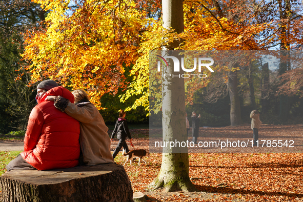 A sunny day in Munich, Germany, on November 16, 2024, showcases the vibrant hues of autumn. A couple sits closely on a tree stump while othe...