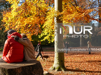 A sunny day in Munich, Germany, on November 16, 2024, showcases the vibrant hues of autumn. A couple sits closely on a tree stump while othe...