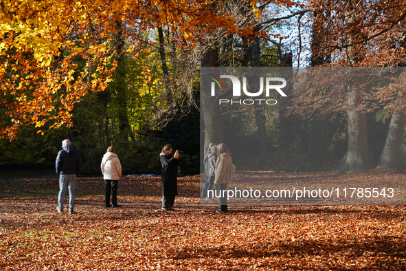 On November 16, 2024, in Munich, Bavaria, Germany, visitors wander among golden and rust-colored leaves in the English Garden. They capture...