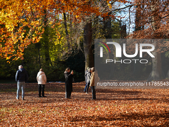 On November 16, 2024, in Munich, Bavaria, Germany, visitors wander among golden and rust-colored leaves in the English Garden. They capture...