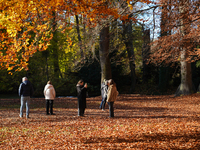 On November 16, 2024, in Munich, Bavaria, Germany, visitors wander among golden and rust-colored leaves in the English Garden. They capture...