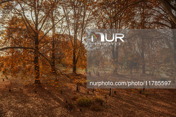 Visitors walk on fallen Chinar tree leaves inside a Mughal garden during an autumn day in Srinagar, Jammu and Kashmir, on November 17, 2024....