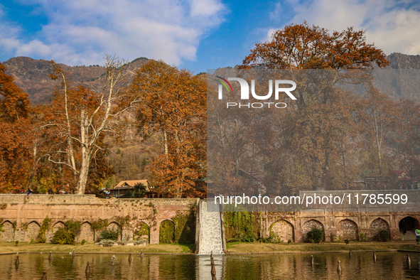 A view of Mughal garden on an autumn day in Srinagar, Jammu and Kashmir, on November 17, 2024. Autumn, locally known as Harud, is a season o...