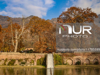 A view of Mughal garden on an autumn day in Srinagar, Jammu and Kashmir, on November 17, 2024. Autumn, locally known as Harud, is a season o...