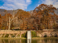 A view of Mughal garden on an autumn day in Srinagar, Jammu and Kashmir, on November 17, 2024. Autumn, locally known as Harud, is a season o...