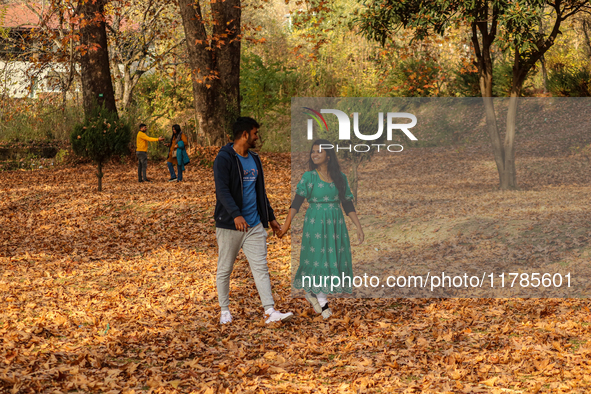 Indian tourists walk on fallen Chinar tree leaves inside a Mughal garden in Srinagar, Jammu and Kashmir, on November 17, 2024. Autumn, local...