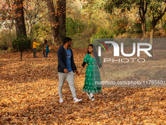 Indian tourists walk on fallen Chinar tree leaves inside a Mughal garden in Srinagar, Jammu and Kashmir, on November 17, 2024. Autumn, local...