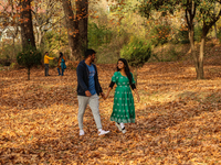 Indian tourists walk on fallen Chinar tree leaves inside a Mughal garden in Srinagar, Jammu and Kashmir, on November 17, 2024. Autumn, local...