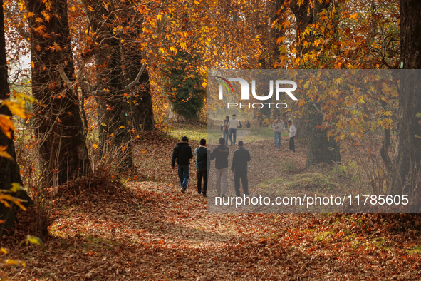 Visitors walk on fallen Chinar tree leaves inside a Mughal garden during an autumn day in Srinagar, Jammu and Kashmir, on November 17, 2024....