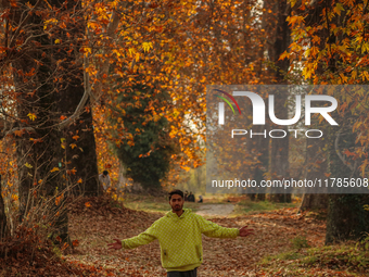 A visitor walks on fallen Chinar tree leaves inside a Mughal garden during an autumn day in Srinagar, Jammu and Kashmir, on November 17, 202...