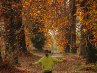 A visitor walks on fallen Chinar tree leaves inside a Mughal garden during an autumn day in Srinagar, Jammu and Kashmir, on November 17, 202...