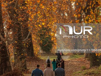 Visitors walk on fallen Chinar tree leaves inside a Mughal garden during an autumn day in Srinagar, Jammu and Kashmir, on November 17, 2024....