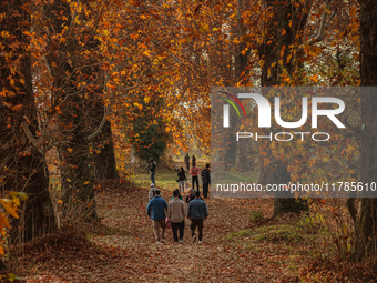 Visitors walk on fallen Chinar tree leaves inside a Mughal garden during an autumn day in Srinagar, Jammu and Kashmir, on November 17, 2024....