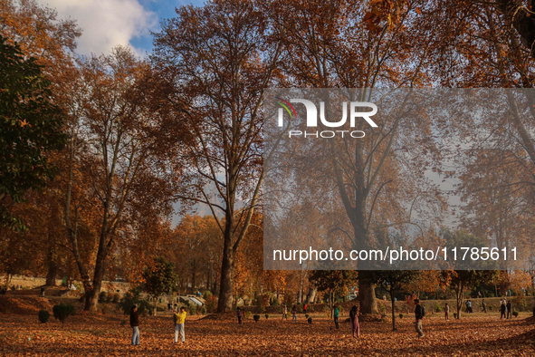 Visitors walk on fallen Chinar tree leaves inside a Mughal garden during an autumn day in Srinagar, Jammu and Kashmir, on November 17, 2024....