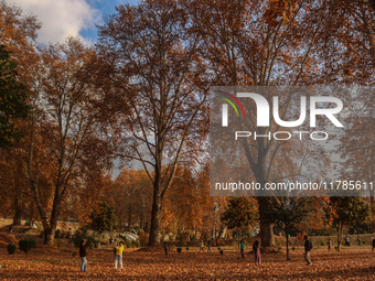 Visitors walk on fallen Chinar tree leaves inside a Mughal garden during an autumn day in Srinagar, Jammu and Kashmir, on November 17, 2024....