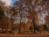 Visitors walk on fallen Chinar tree leaves inside a Mughal garden during an autumn day in Srinagar, Jammu and Kashmir, on November 17, 2024....