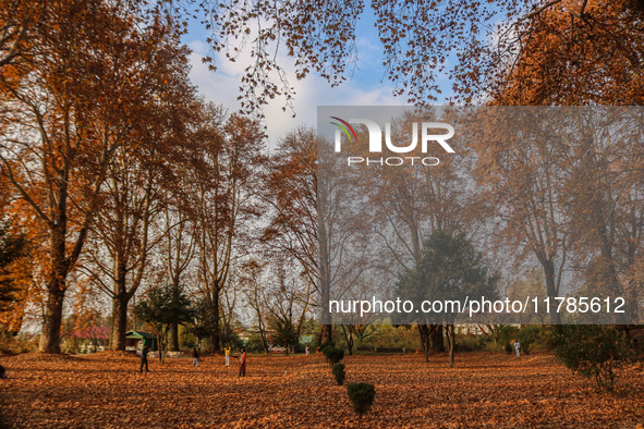 Visitors walk on fallen Chinar tree leaves inside a Mughal garden during an autumn day in Srinagar, Jammu and Kashmir, on November 17, 2024....