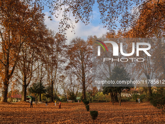 Visitors walk on fallen Chinar tree leaves inside a Mughal garden during an autumn day in Srinagar, Jammu and Kashmir, on November 17, 2024....