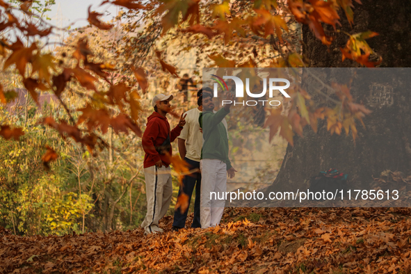 Visitors take selfies inside a Mughal garden in Srinagar, Jammu and Kashmir, on November 17, 2024. Autumn, locally known as Harud, is a seas...