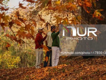 Visitors take selfies inside a Mughal garden in Srinagar, Jammu and Kashmir, on November 17, 2024. Autumn, locally known as Harud, is a seas...