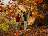 Visitors take selfies inside a Mughal garden in Srinagar, Jammu and Kashmir, on November 17, 2024. Autumn, locally known as Harud, is a seas...