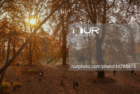 Visitors walk on fallen Chinar tree leaves inside a Mughal garden during an autumn day in Srinagar, Jammu and Kashmir, on November 17, 2024....