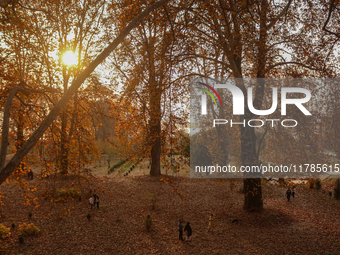 Visitors walk on fallen Chinar tree leaves inside a Mughal garden during an autumn day in Srinagar, Jammu and Kashmir, on November 17, 2024....