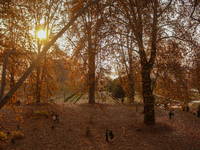 Visitors walk on fallen Chinar tree leaves inside a Mughal garden during an autumn day in Srinagar, Jammu and Kashmir, on November 17, 2024....