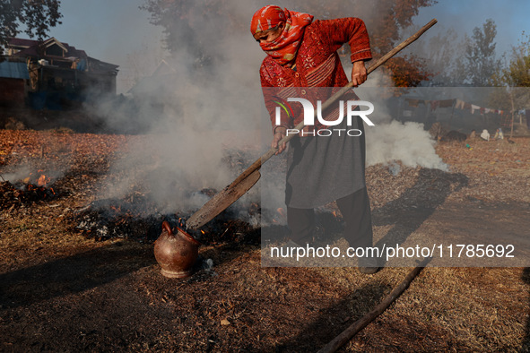 Rafiqa, 46, puts burning charcoal in a firepot on a cold day in Sopore, Jammu and Kashmir, India, on November 17, 2024. People burn fallen d...