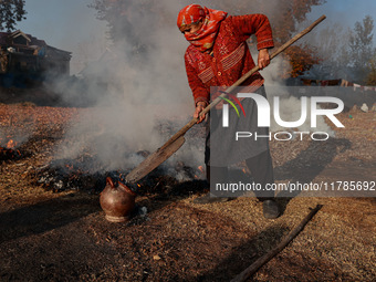 Rafiqa, 46, puts burning charcoal in a firepot on a cold day in Sopore, Jammu and Kashmir, India, on November 17, 2024. People burn fallen d...