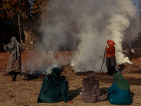 Rafiqa, 46, burns fallen dried leaves and twigs of a Chinar tree to make charcoal ahead of harsh winters in Sopore, Jammu and Kashmir, India...