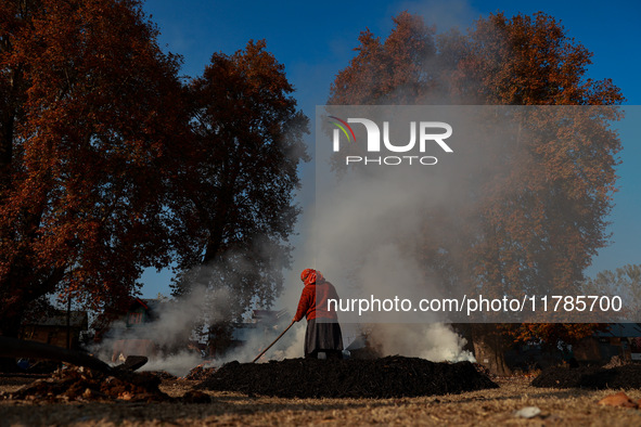 Rafiqa, 46, burns fallen dried leaves and twigs of a Chinar tree to make charcoal ahead of harsh winters in Sopore, Jammu and Kashmir, India...