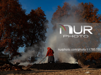 Rafiqa, 46, burns fallen dried leaves and twigs of a Chinar tree to make charcoal ahead of harsh winters in Sopore, Jammu and Kashmir, India...