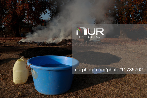 Rafiqa, 46, burns fallen dried leaves and twigs of a Chinar tree to make charcoal ahead of harsh winters in Sopore, Jammu and Kashmir, India...