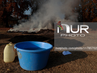 Rafiqa, 46, burns fallen dried leaves and twigs of a Chinar tree to make charcoal ahead of harsh winters in Sopore, Jammu and Kashmir, India...