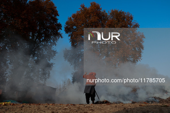 Rafiqa, 46, burns fallen dried leaves and twigs of a Chinar tree to make charcoal ahead of harsh winters in Sopore, Jammu and Kashmir, India...