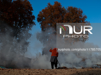 Rafiqa, 46, burns fallen dried leaves and twigs of a Chinar tree to make charcoal ahead of harsh winters in Sopore, Jammu and Kashmir, India...